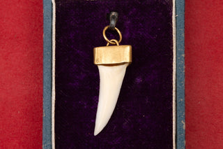 Vintage Gold Shark Tooth Pendant