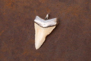 Antique Silver Shark Tooth Amulet Pendant; 19th Century