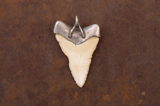 Antique Silver Shark Tooth Amulet Pendant; 19th Century