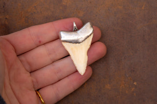 Antique Silver Shark Tooth Amulet Pendant; 19th Century