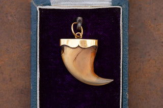 Victorian 18K Gold Mounted Tiger’s Claw Pendant, British Raj Period, c.1870