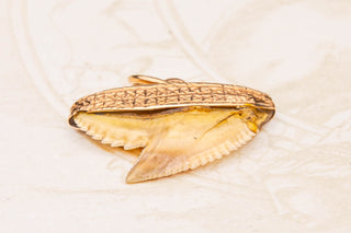 Victorian Shark Tooth Pendant