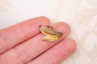 Victorian Shark Tooth Pendant