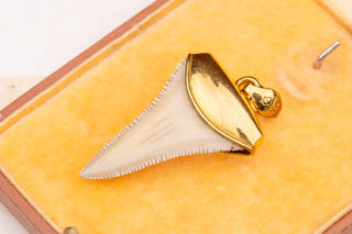 Vintage Gold Shark Tooth Pendant