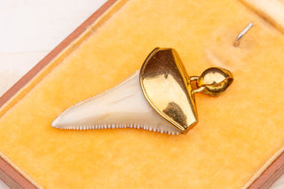 Vintage Gold Shark Tooth Pendant