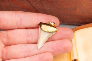 Vintage Gold Shark Tooth Pendant