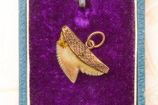 Victorian Shark Tooth Pendant