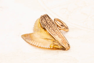 Victorian Shark Tooth Pendant