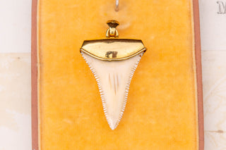 Vintage Gold Shark Tooth Pendant