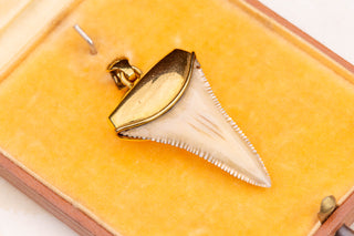 Vintage Gold Shark Tooth Pendant