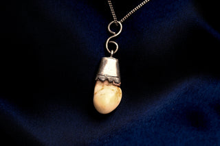 Silver cap with scalloped edge on the red deer tooth