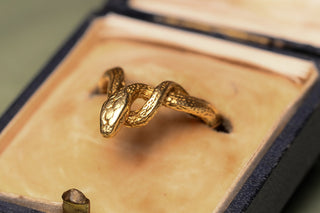 French Intertwined Snake Ring
